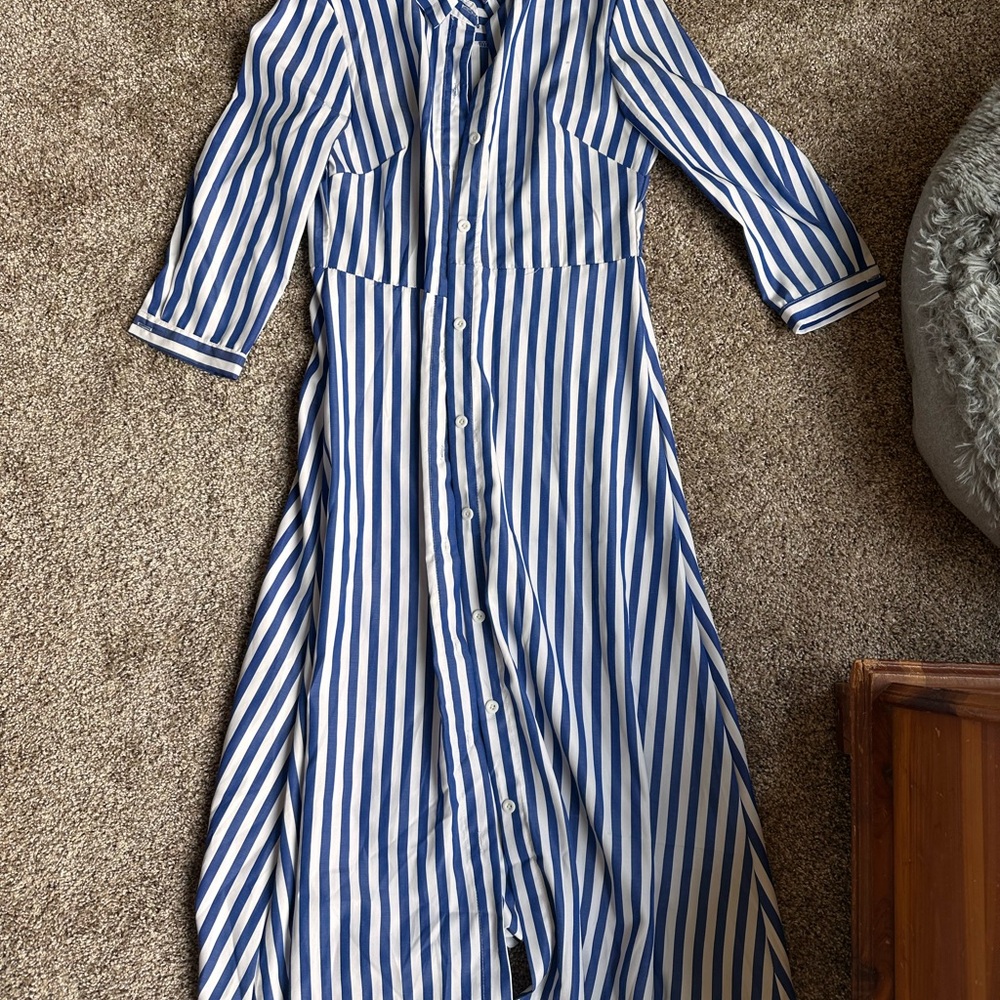 Blue and White Striped Button-Down Dress